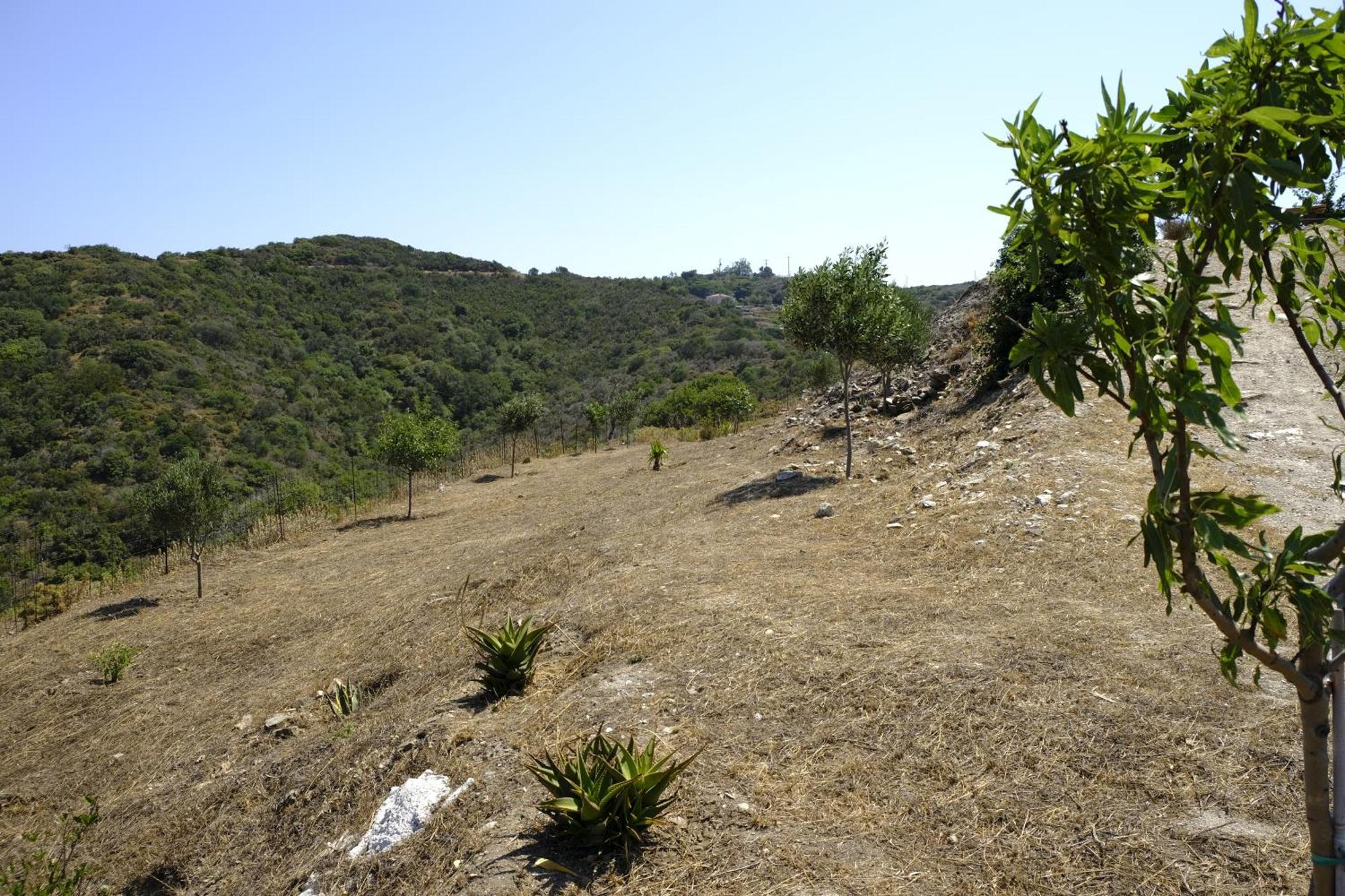 Hill'S Barbacane Potamos  Exteriér fotografie